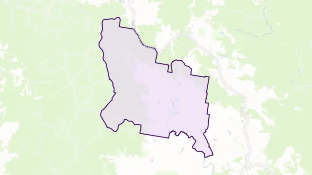 Mount Pleasant Area Boundary Map