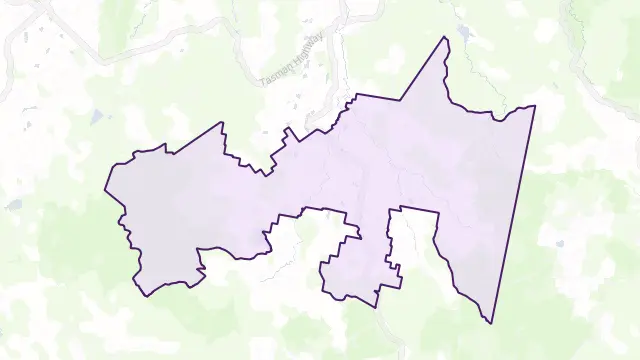 Ringarooma Area Boundary Map