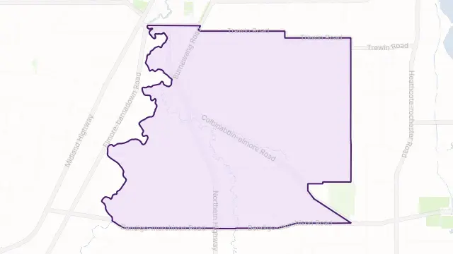 Runnymede Area Boundary Map